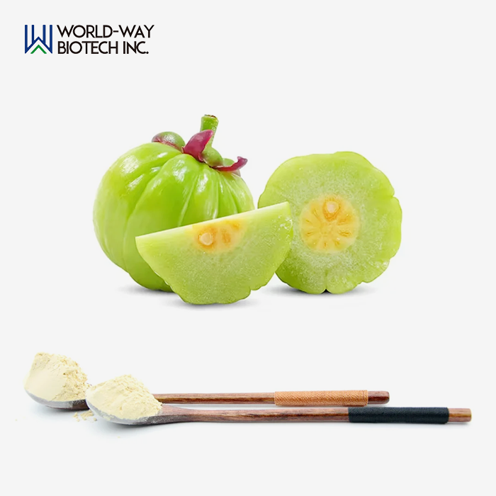 Garcinia Cambogia Extract Powder Garcinia Cambogia Extract Powder